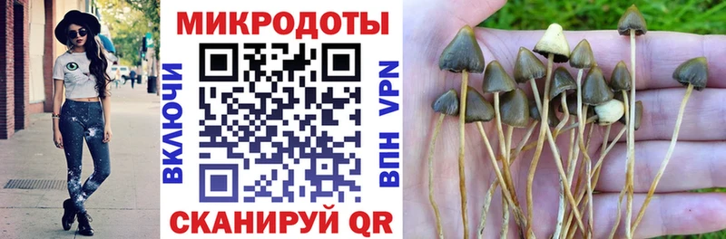 Псилоцибиновые грибы ЛСД Макушино